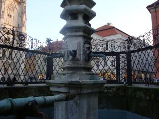 DSC08237.JPG