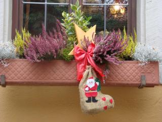 DSC08797.JPG