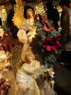 DSC08838.JPG