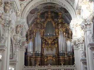 DSC08157.JPG