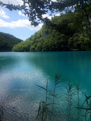 Изображение 400.jpg