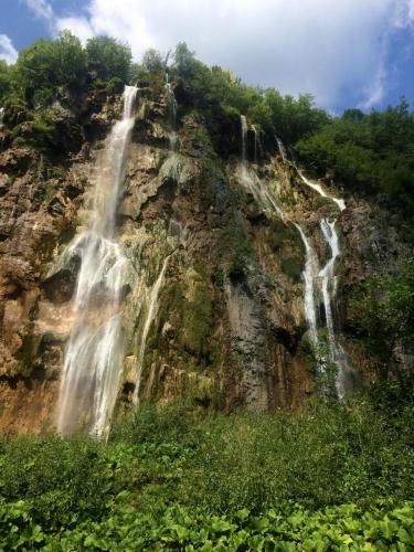 Изображение 433.jpg