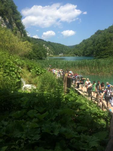 Изображение 416.jpg