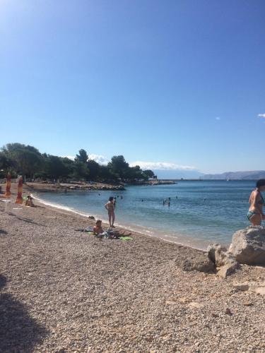 Изображение 294.jpg