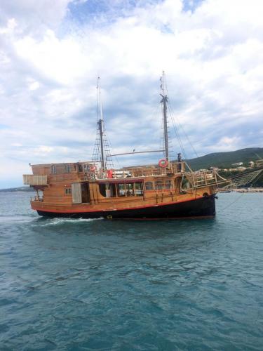 Изображение 242.jpg