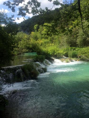 Изображение 408.jpg