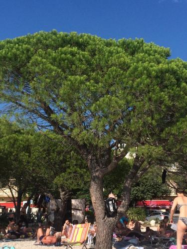 Изображение 262.jpg