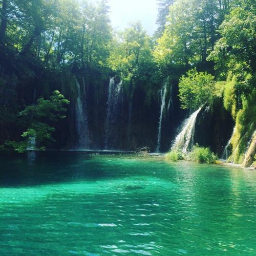 Изображение 306.jpg