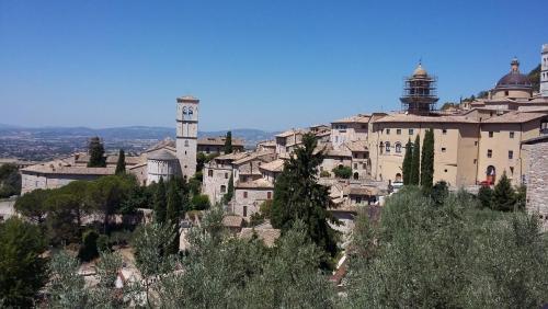 лето 2017 2359.jpg