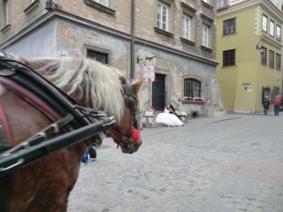 Франция Божоле 2013 014.JPG