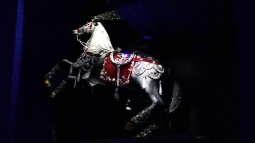 Новые Рождество. путешествия 1272.jpg