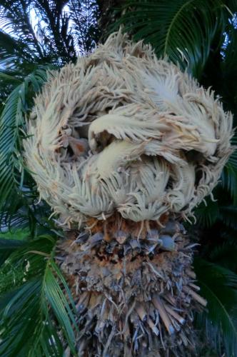 Лигурия 2015 475.JPG