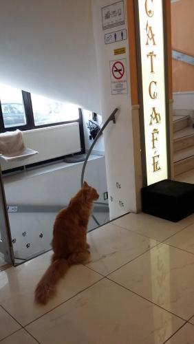 из телефона 1250.jpg