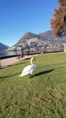 Новые Рождество. путешествия 1117.jpg