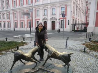 Франция Божоле 2013 1204.JPG