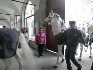 Карнавалы. февраль 2014 034.JPG