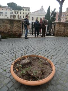 Карнавалы. февраль 2014 590.JPG