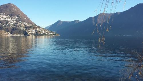 Новые Рождество. путешествия 1154.jpg