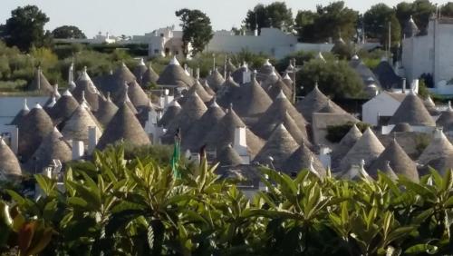 лето 2017 1595.jpg