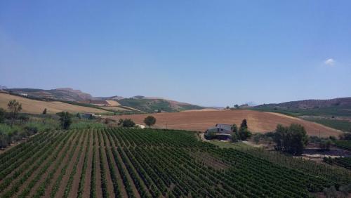 лето 2017 1932.jpg