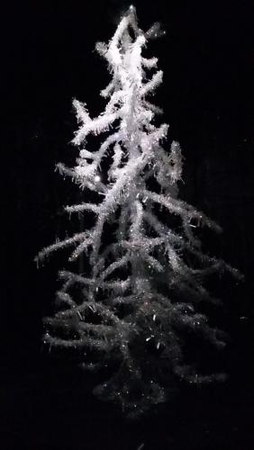 Новые Рождество. путешествия 1282.jpg