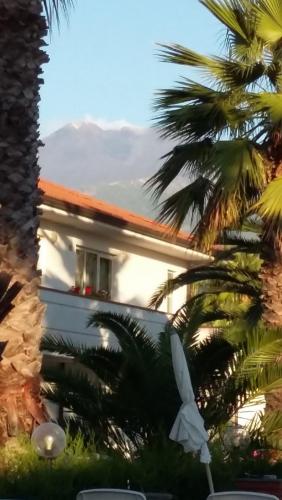 лето 2017 1838.jpg