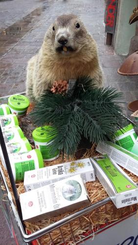 Новые Рождество. путешествия 1373.jpg