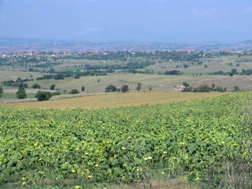 Греция 2014 881.JPG