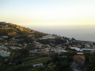 20140223_174906.jpg