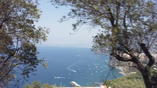 лето 2017 2308.jpg