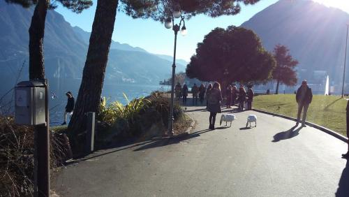 Новые Рождество. путешествия 1112.jpg