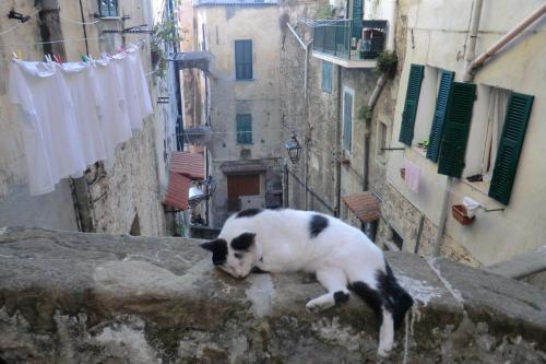 Лигурия 2015 400.JPG