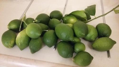 лето 2017 1835.jpg