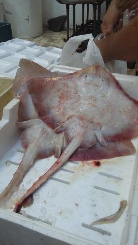 лето 2017 1514.jpg