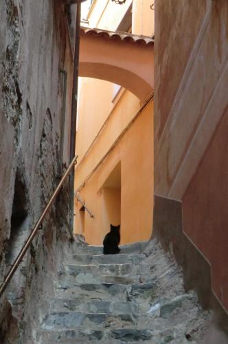 Лигурия 2015 361.JPG