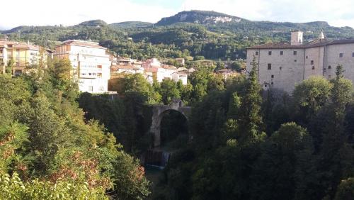 лето 2017 1402.jpg