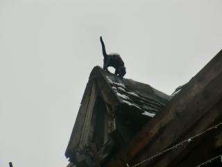 Франция Божоле 2013 860.JPG