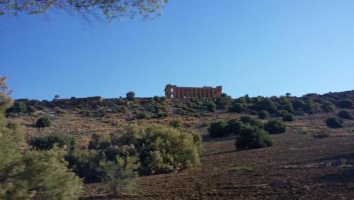 лето 2017 1920.jpg