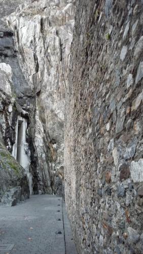 Новые Рождество. путешествия 1247.jpg