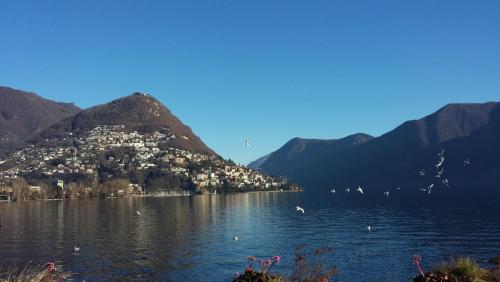 Новые Рождество. путешествия 1166.jpg