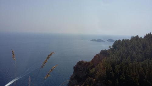 лето 2017 2314.jpg