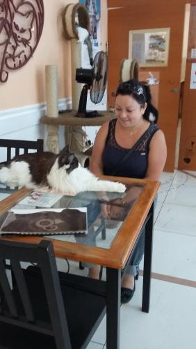 из телефона 1239.jpg