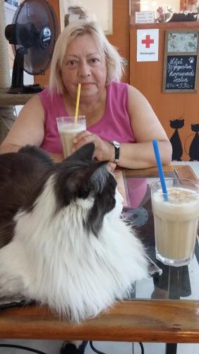 из телефона 1243.jpg