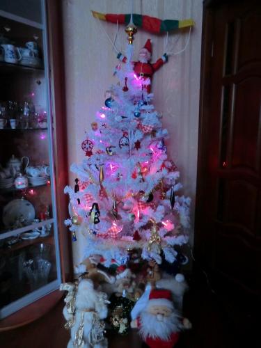 Коллекция 021.JPG