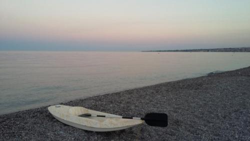 лето 2017 1823.jpg