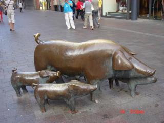 DSC07685.JPG