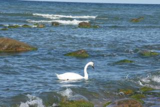 DSC04005.JPG