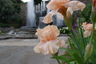 DSC_7566.JPG