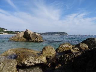 DSC02241.JPG