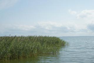 DSC03794.JPG